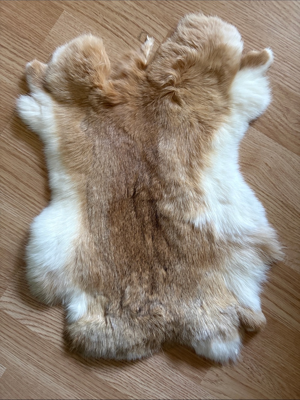 B0091 rabbit pelt